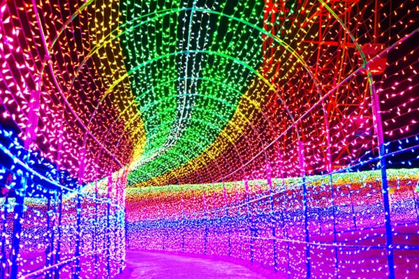 【新宿発】光と音で体感する「東京ドイツ村」ウィンターイルミネーション!!南房総の絶景パワースポット&海の幸の彩り海鮮丼の昼食付き!!千葉の名産・落花生つかみ取り体験も満喫♪ 日帰りバスツアー1